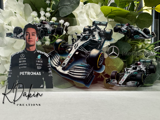 F1