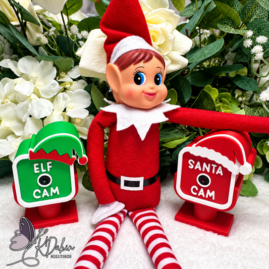 Santa Cam